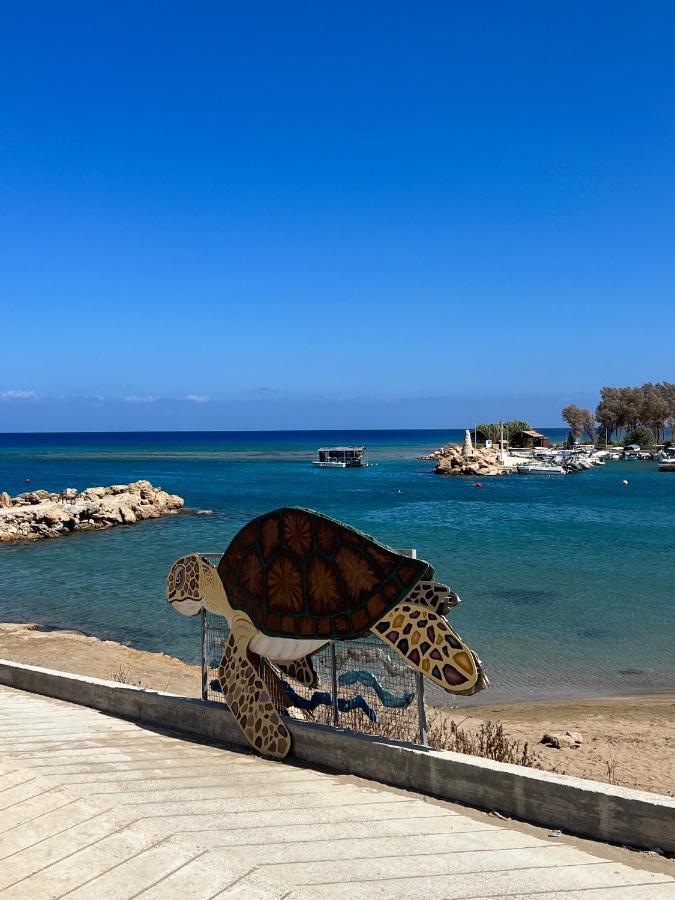 Taniandres Apartments Paralimni Luaran gambar